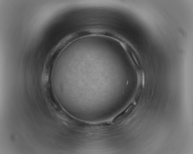 X0000114690723200910211312