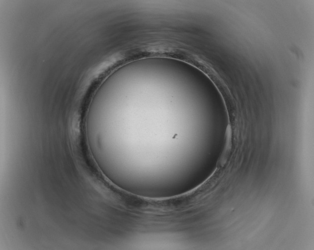 X0000114690727200910211312