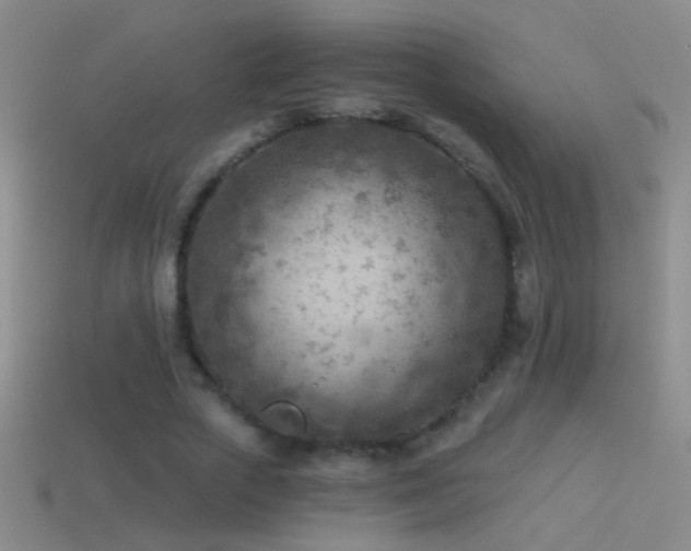X0000114690729200910211312