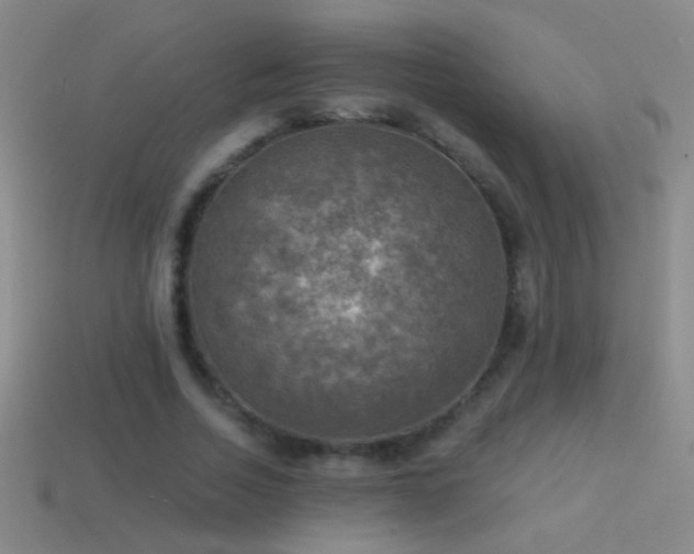 X0000114690730200910211312