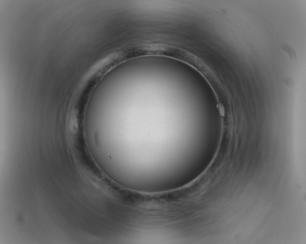 X0000114690731200910211312