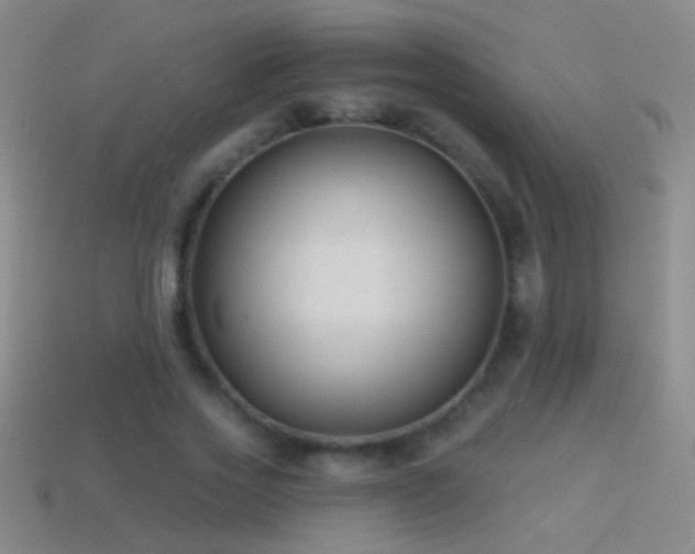X0000114690733200910211312