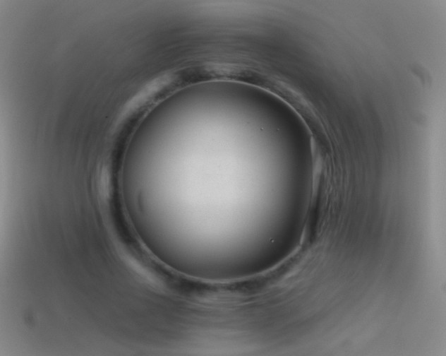 X0000114690734200910211312