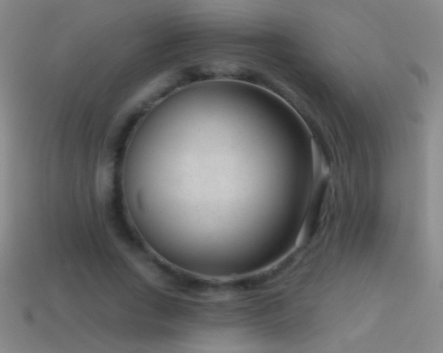 X0000114690735200910211312
