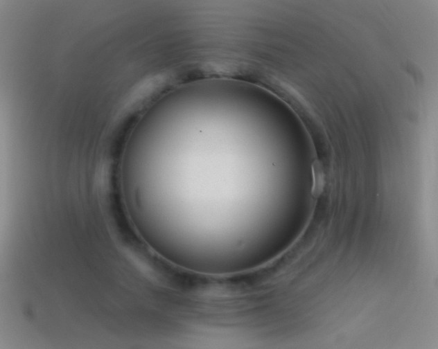 X0000114690738200910211312