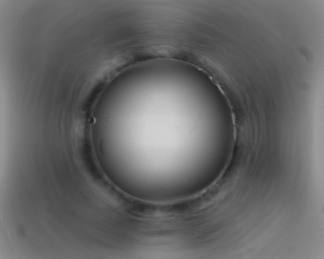X0000114690739200910211312