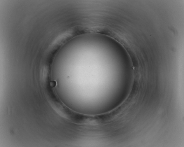 X0000114690742200910211312