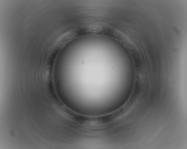X0000114690745200910211312