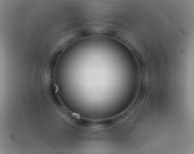 X0000114690746200910211312