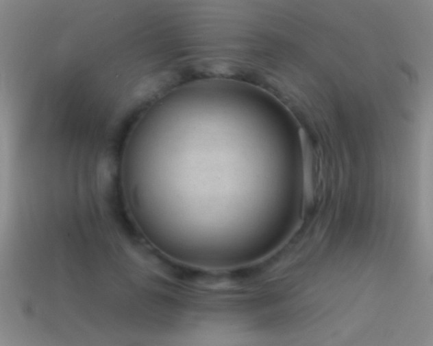 X0000114690747200910211312