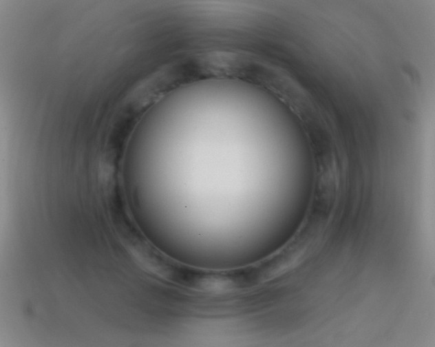 X0000114690749200910211312