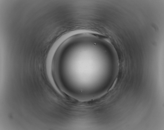 X0000114690750200910211312