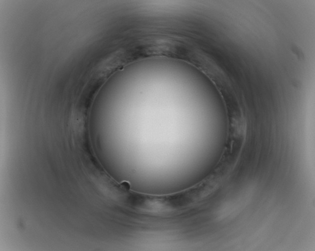 X0000114690753200910211312