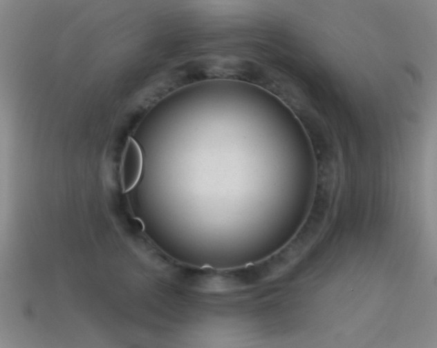 X0000114690755200910211312