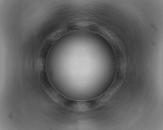 X0000114690758200910211312