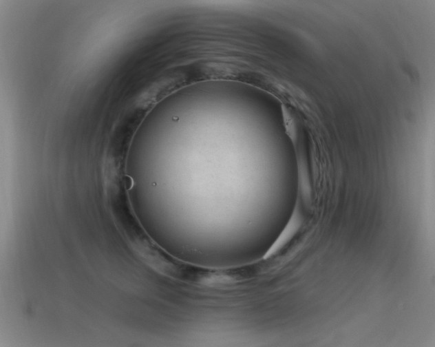 X0000114690759200910211312