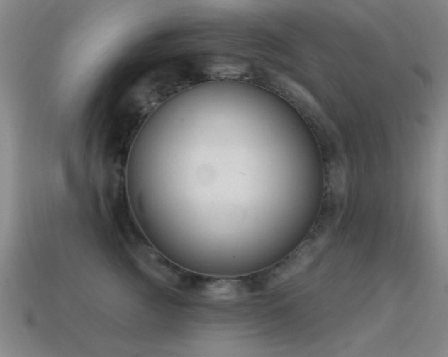 X0000114690761200910211312
