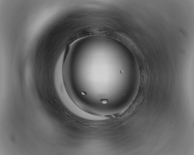X0000114690762200910211312
