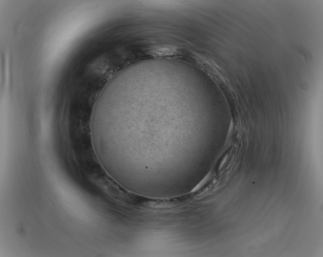 X0000114690763200910211312