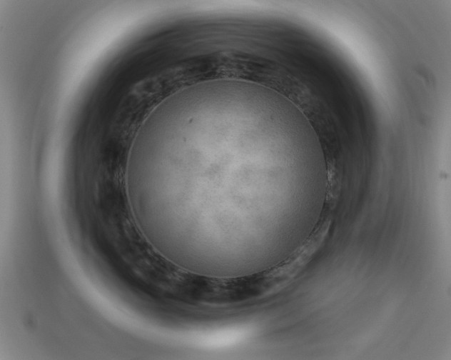 X0000114690765200910211312