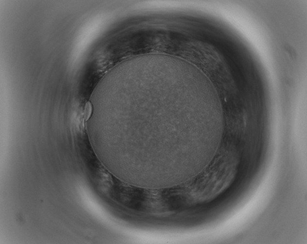 X0000114690766200910211312