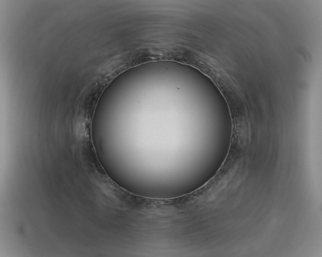 X0000114690770200910211312
