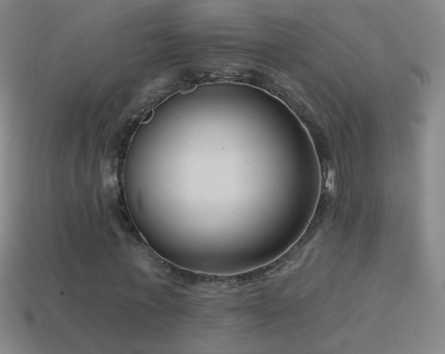 X0000114690771200910211312