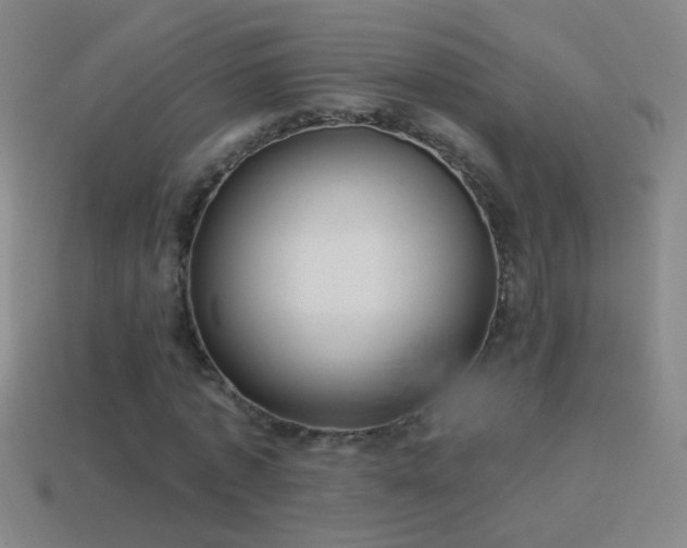 X0000114690773200910211312