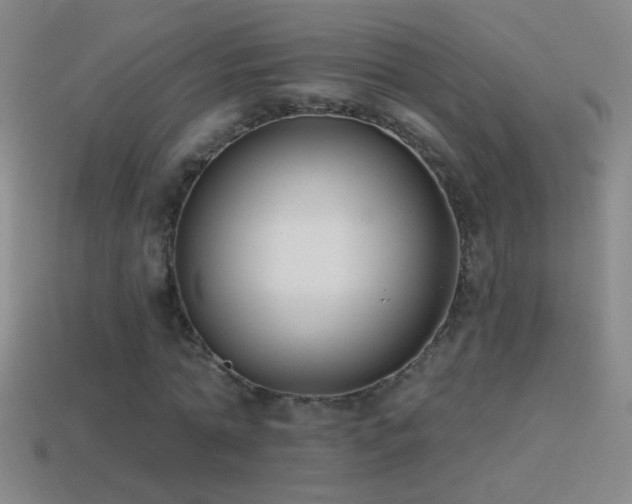 X0000114690774200910211312