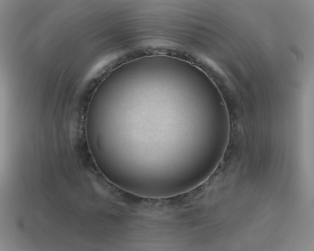 X0000114690775200910211311