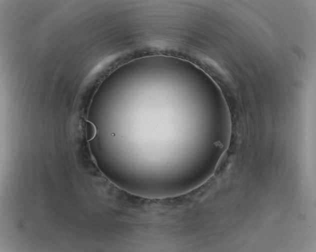 X0000114690776200910211311
