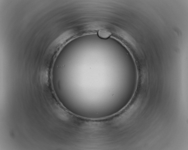 X0000114690777200910211311