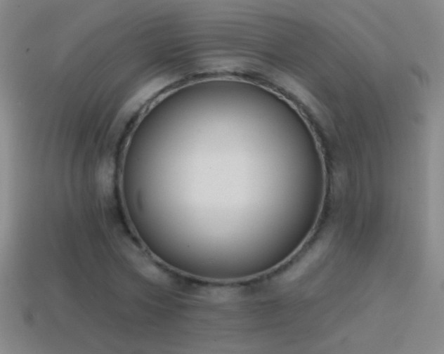 X0000114690778200910211311