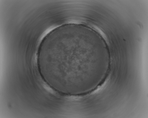 X0000114690779200910211311
