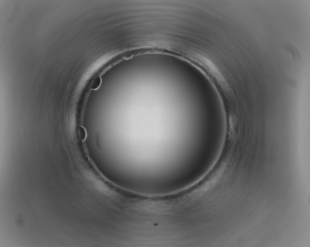 X0000114690780200910211311