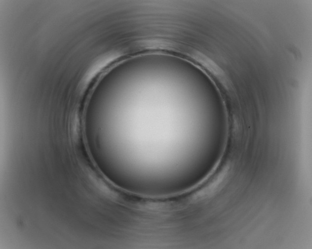 X0000114690782200910211311