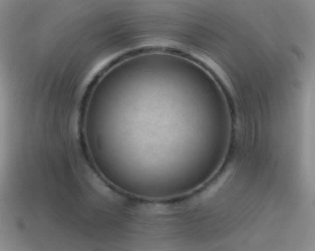 X0000114690783200910211311