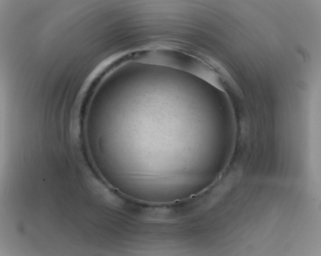 X0000114690784200910211311