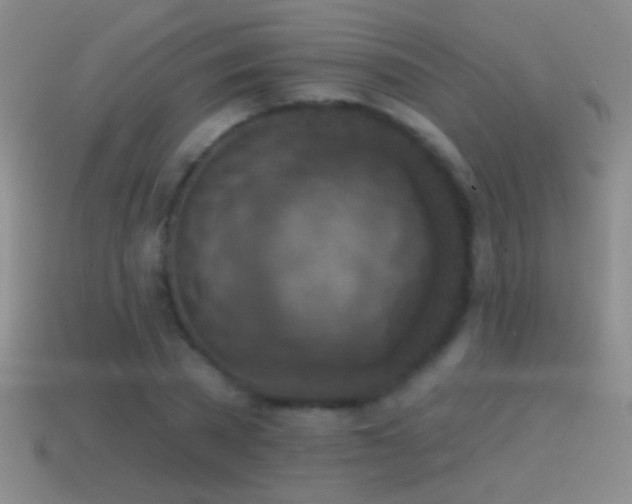 X0000114690785200910211311