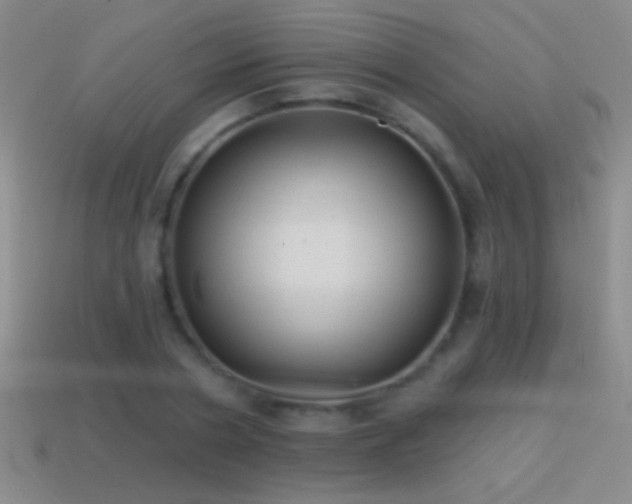 X0000114690786200910211311