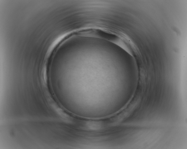X0000114690788200910211311