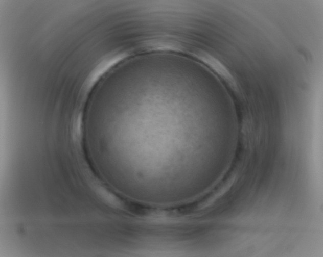 X0000114690790200910211311