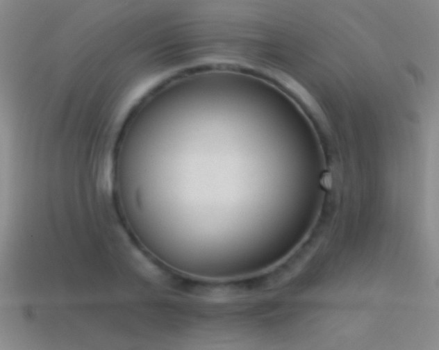 X0000114690791200910211311