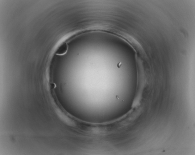 X0000114690792200910211311