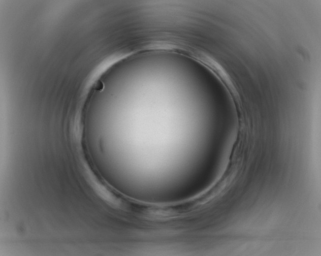 X0000114690795200910211311