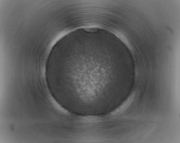 X0000114690797200910211311