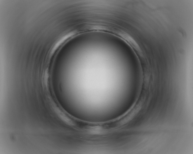 X0000114690798200910211311