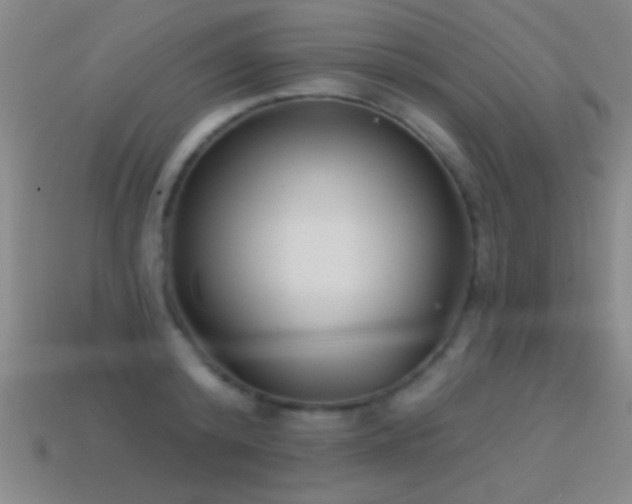 X0000114690800200910211311
