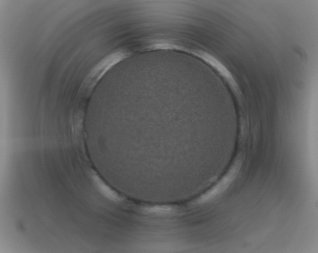 X0000114690801200910211311