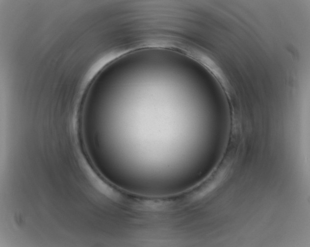 X0000114690803200910211311